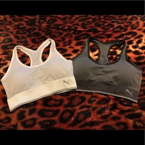 Puma sports bras
